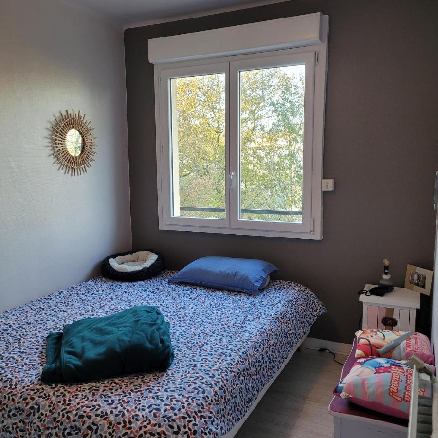 Charmant Appartement A Deux Pas Du Centre Historique 坎佩尔 外观 照片